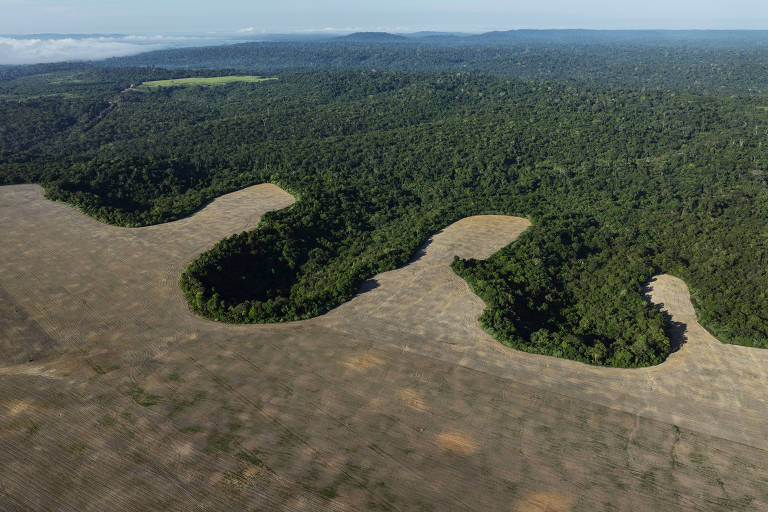 'A ministra deve ser ouvida', diz leitora sobre PL que flexibiliza o licenciamento ambiental