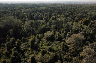 FILE PHOTO: Scientists from the State University of Mato Grosso identify signs of climate change on the border between Amazonia and Cerrado