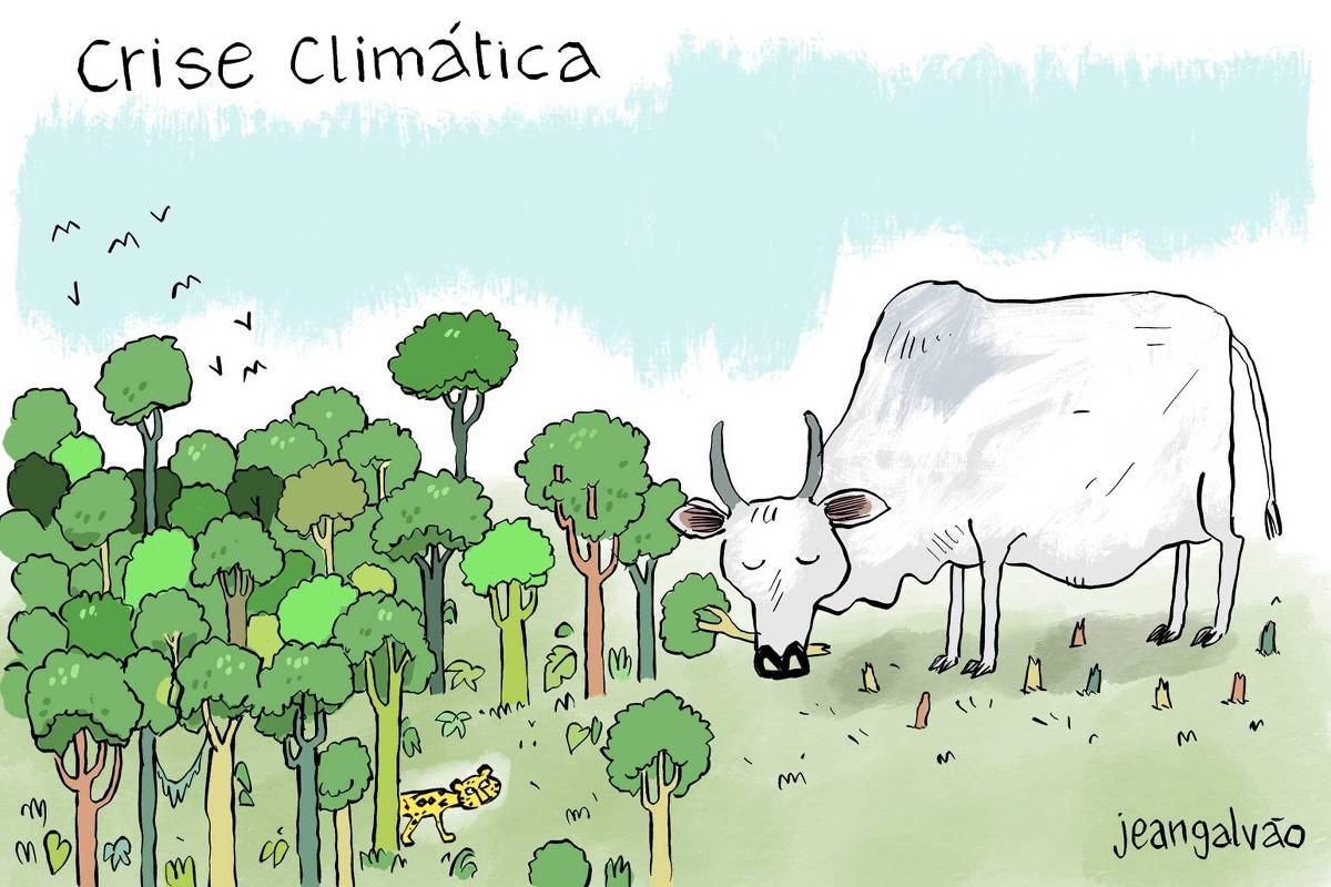 A charge de Jean Galvão publicada na Folha tem o título “Crise Climática”. À esquerda, vemos uma floresta tropical cheia de árvores verdes.. Acima das árvores, alguns pássaros voam para longe. À direita, grande parte da vegetação foi desmatada, comida como pasto por um gado gigante, maior que a floresta. Entre as árvores, bem pequena, há uma onça-pintada olhando para cima vendo o gado gigante.
