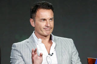 FILE PHOTO: Cast member Julian McMahon participates in a panel in Pasadena, California