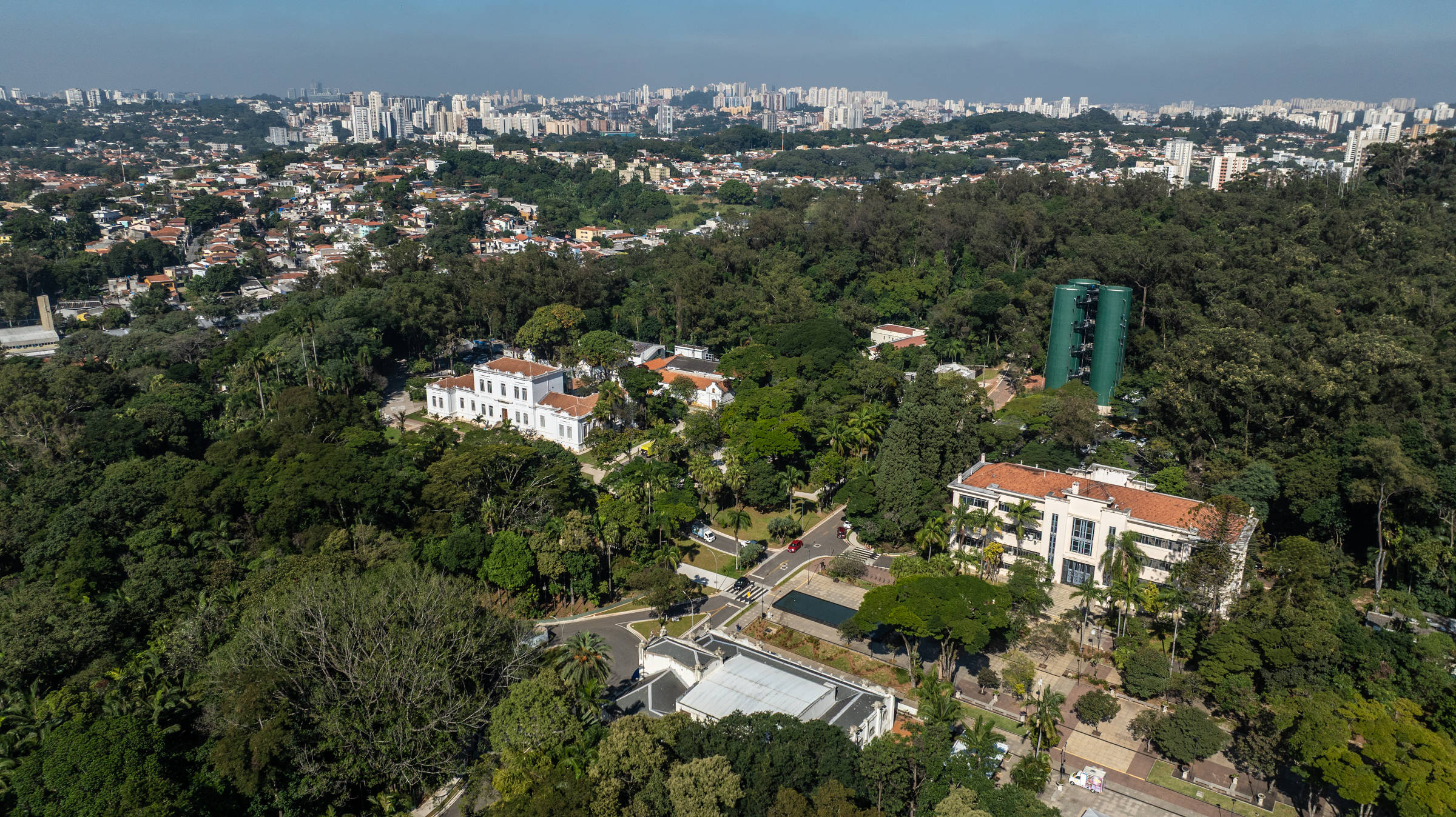 Floresta urbana