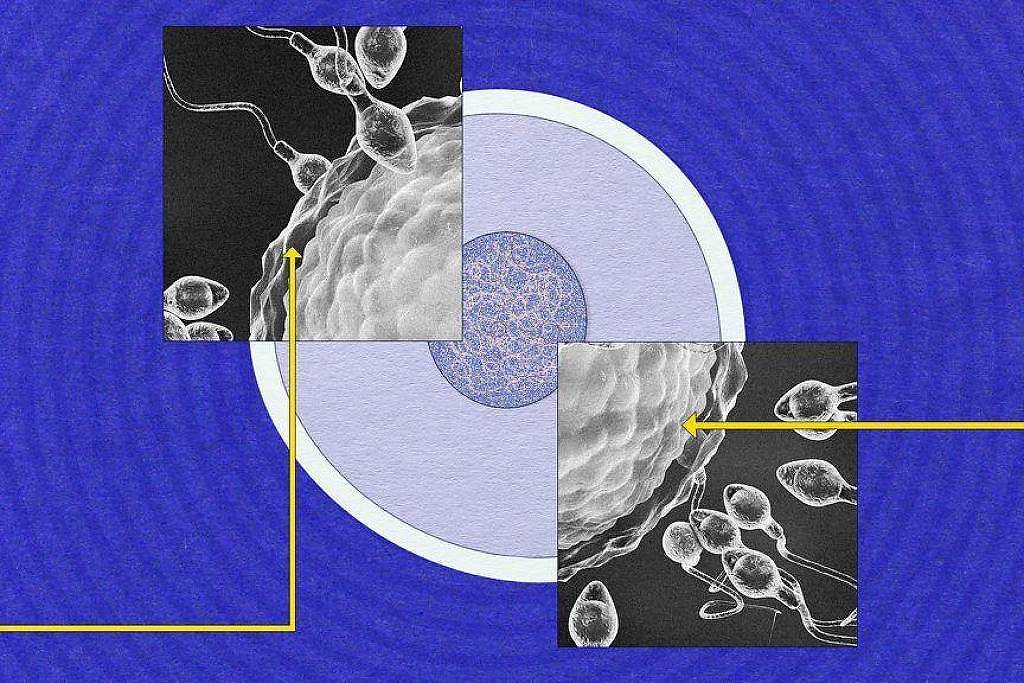 Por que ainda sabemos tão pouco sobre o esperma?