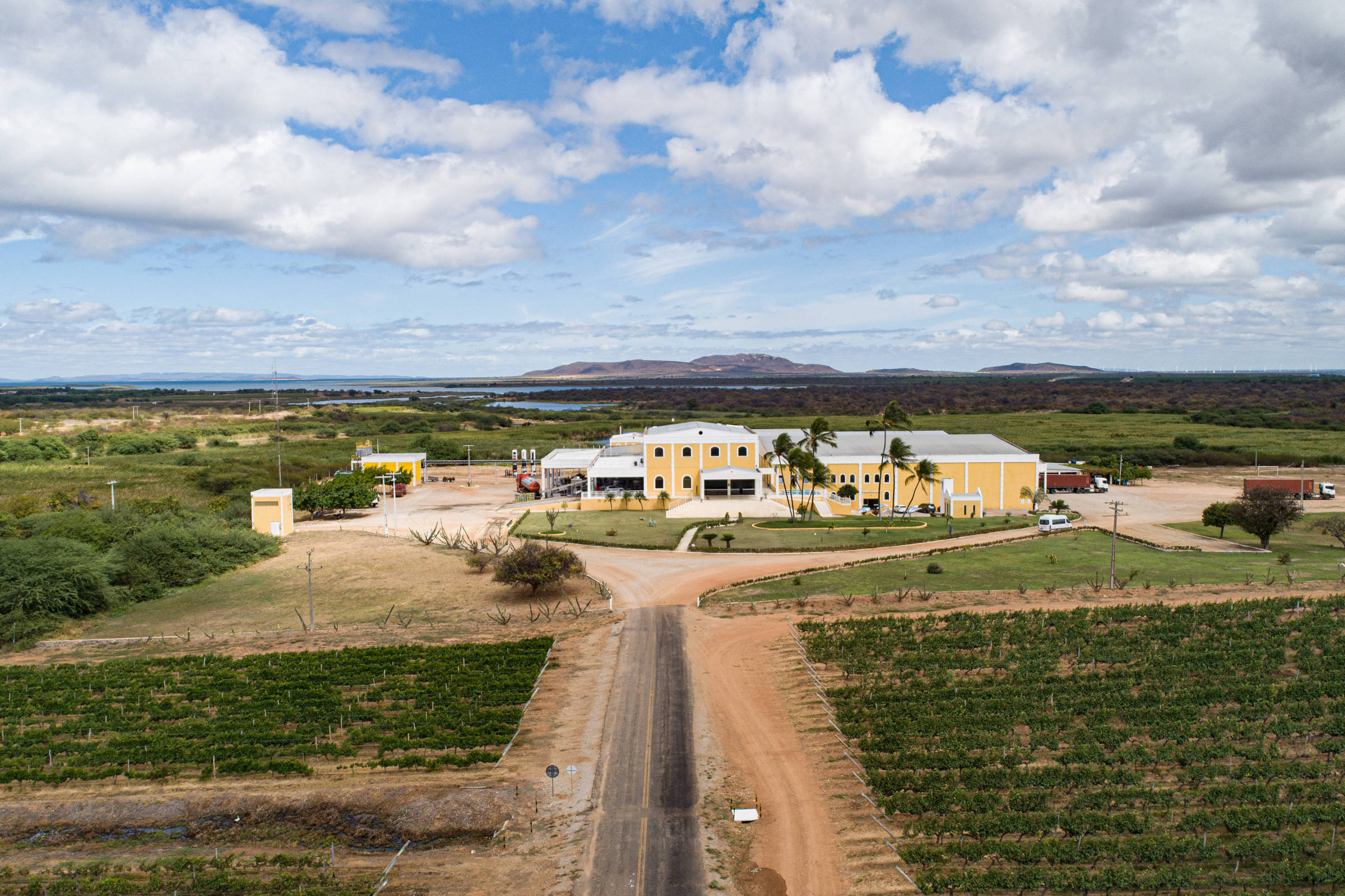 Vale do São Francisco vira atração enoturística com tecnologia e clima tropical