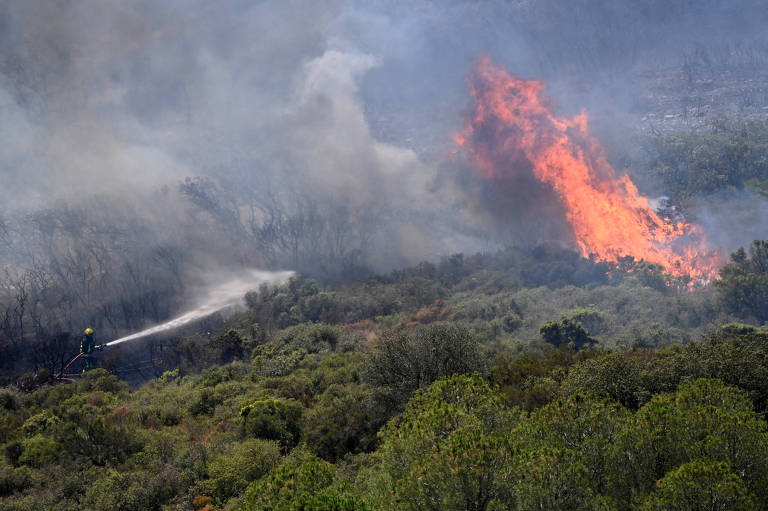 Mudanças climáticas triplicam mortes por onda de calor na Europa, diz estudo
