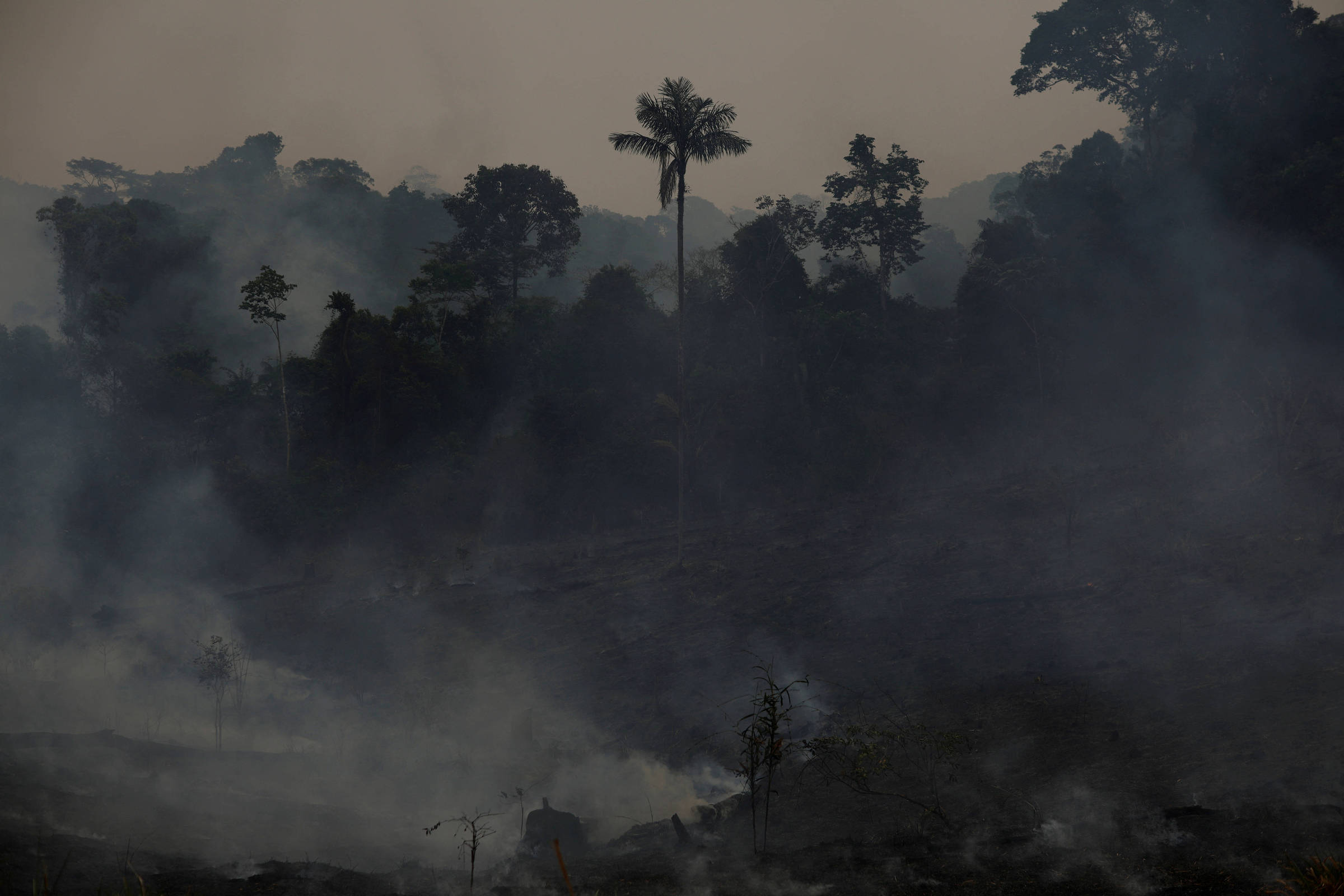 Ibama aplica R$ 173 mi em multas após desmatamento na Amazônia igual a 26 mil campos de futebol