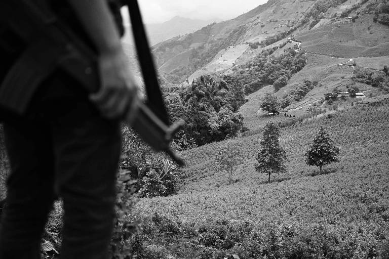 Cocaína em alta e falência da guerra às drogas