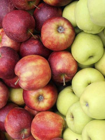 Maçãs produzidas na Polônia, durante um evento, em Varsóvia (Polônia). *** Apples are displayed in a wheel barrow during an event promoting Polish apples in Warsaw in this August 6, 2014 file photo. Russia officially closed its borders to Polish fruit and vegetables on August 1, depriving farmers and exporters of a market worth more than 300 million euros ($400 million) last year. Moscow blamed repeated sanitary infringements by Polish farmers, but the move was widely seen at the time as retaliation for Poland's staunch support of Ukraine in its fight with pro-Russian separatists and Warsaw's push within the European Union for tougher sanctions on Russia. To match story UKRAINE-CRISIS/POLAND-SANCTIONS     REUTERS/Franciszek Mazur/Agencja Gazeta/Files (POLAND - Tags: POLITICS BUSINESS AGRICULTURE) ATTENTION EDITORS - THIS IMAGE HAS BEEN SUPPLIED BY A THIRD PARTY. IT IS DISTRIBUTED, EXACTLY AS RECEIVED BY REUTERS, AS A SERVICE TO CLIENTS. POLAND OUT. NO COMMERCIAL OR EDITORIAL SALES IN POLAND ORG XMIT: PXP451