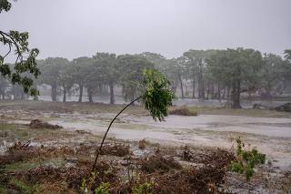 Over 120 Killed After Flash Floods Tear Through Texas Hill Country