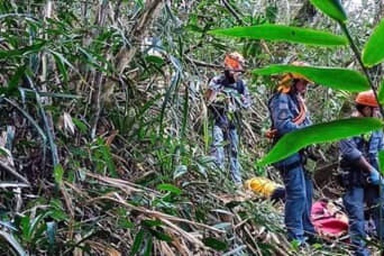 Homem morre após queda de asa-delta em Caraguatatuba, no litoral de SP
