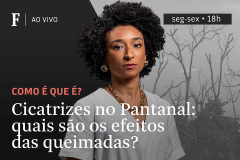 Cicatrizes no Pantanal: quais são os efeitos das queimadas?