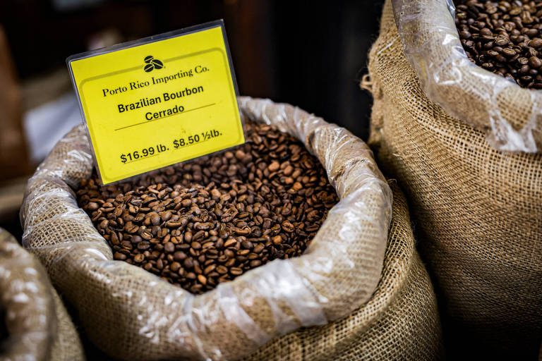 Impacto das tarifas de Trump sobre café é maior em novos contratos, dizem exportadores