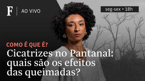 Programa 'Como é que é?' sobre: Cicatrizes no Pantanal: quais são os efeitos das queimadas?