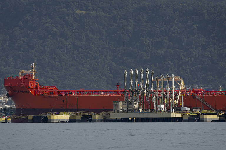 Armadores pedem liberação de contêineres em leilão do porto de São Sebastião
