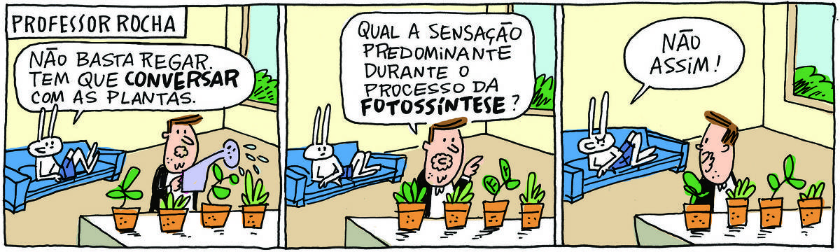 A tirinha PROFESSOR ROCHA, publicada em 19/07/2025, com 3 quadrinhos, traz o PROFESSOR ROCHA, homem branco, gordinho, calça, paletó e cavanhaque, com TATI MATISSE, uma coelhinha branca de orelhas compridas e saia. Estão na sala de um apartamento, ela deitada no sofá enquanto ele rega plantas em uma bancada. No quadrinho 1, ela fala: Não basta regar. Tem que conversar com as plantras. No quadrinho 2, ele pergunta para as plantas: Qual a sensação predominante durante o processo da fotossíntese? No quadrinho 3, ela diz: Não assim!