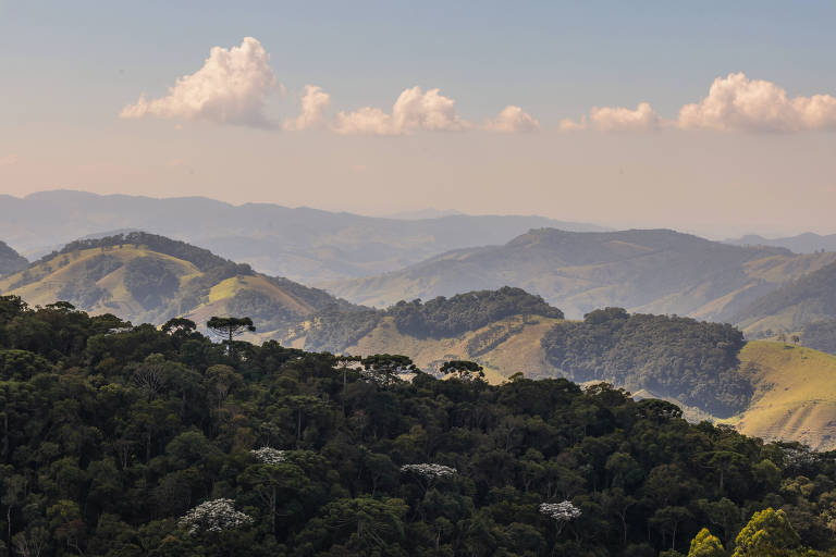 A imagem mostra uma vista panorâmica de uma paisagem montanhosa, com colinas verdes e florestas densas na parte inferior. O céu está claro, com algumas nuvens brancas esparsas. As montanhas ao fundo apresentam diferentes tonalidades de verde e azul, criando um efeito de profundidade na cena.