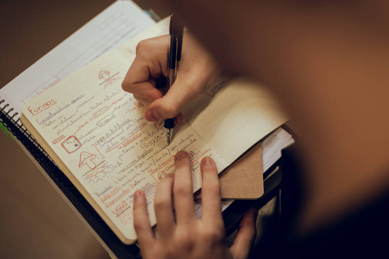 Saiba o que considerar na escolha da profissão e conheça serviços de orientação