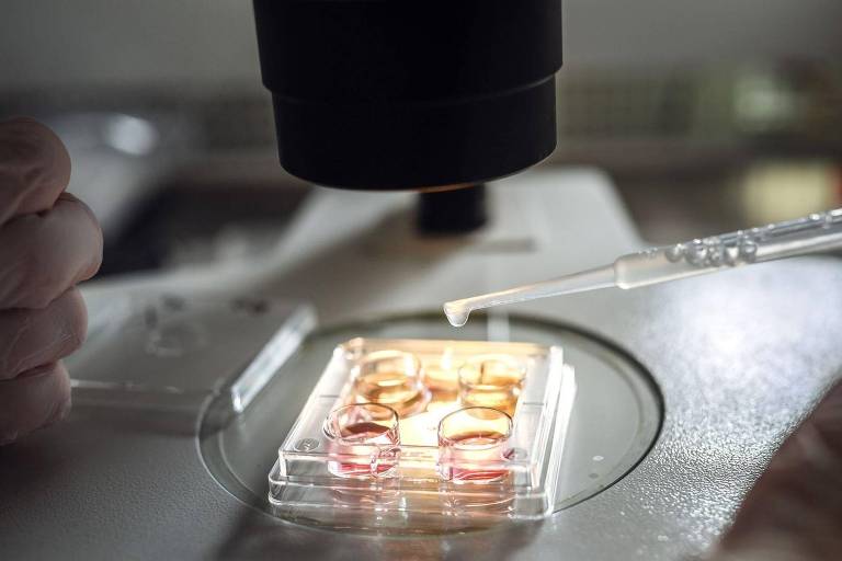 Resimde, ön planda çeşitli renkli numuneler içeren bir Petri kabı bulunan bir laboratuvardaki mikroskop görülüyor. Eldivenli bir el pipet tutarken, diğer el mikroskobun yakınında. Ortam, arka planda laboratuvar ekipmanları ve malzemelerinin görüldüğü bir araştırma laboratuvarı gibi görünüyor.