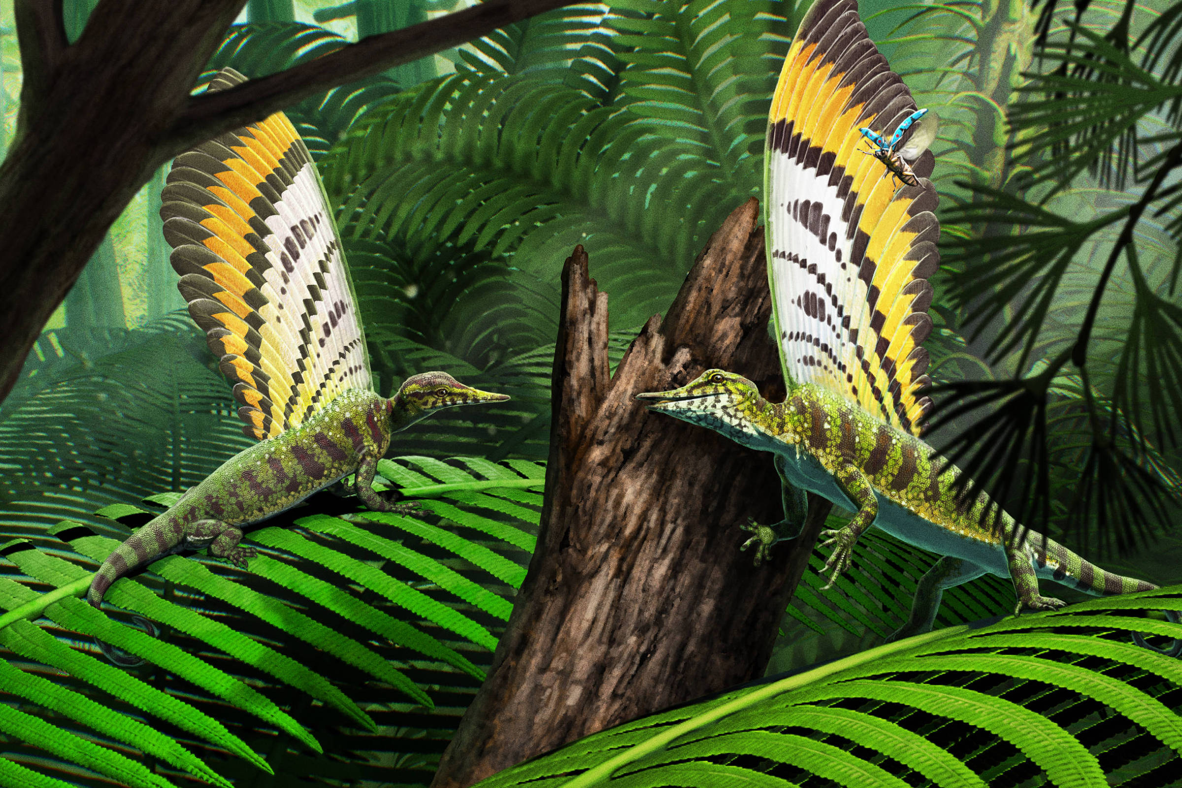 Estruturas de réptil que viveu há 247 milhões de anos parecem penas, mas não são