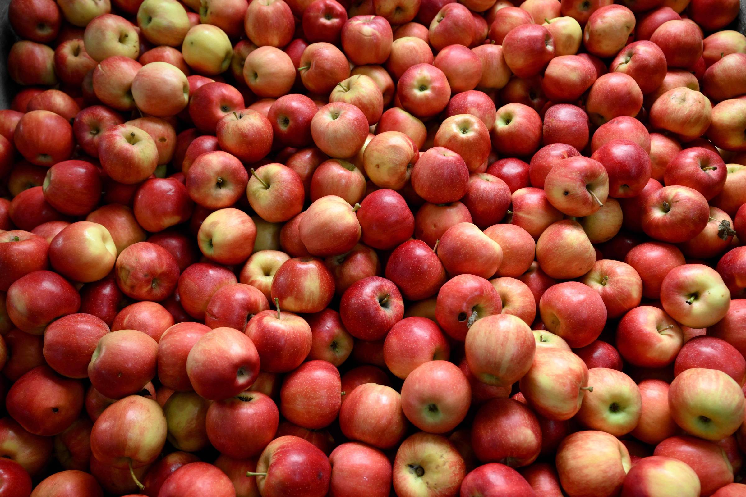 Frutose para o bem e para o mal