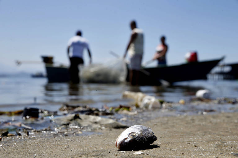 Pulitzer Center custeia reportagens sobre oceanos e pesca