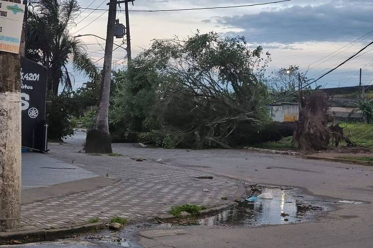Ventos fortes causam destelhamentos, quedas de árvores e interrupção de balsa no litoral de SP