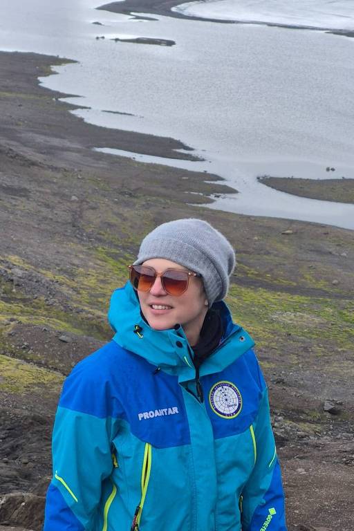 Pintinhos em uma granja, simbolizando o setor avícola.