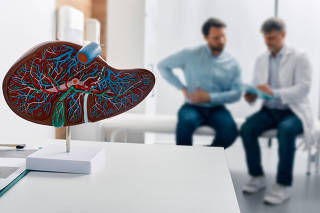 Liver anatomical model on doctor's table during hepatologist consultation for patient with side pain in background. Treatment liver diseases in medicine, conceptual image