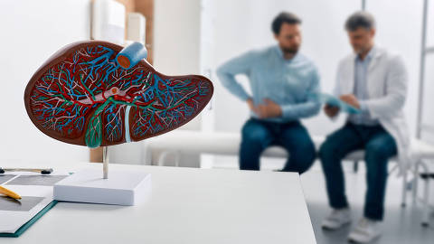 Liver anatomical model on doctor's table during hepatologist consultation for patient with side pain in background. Treatment liver diseases in medicine.Credito  Peakstock / AdobeStock DIREITOS RESERVADOS. NÃO PUBLICAR SEM AUTORIZAÇÃO DO DETENTOR DOS DIREITOS AUTORAIS E DE IMAGEM