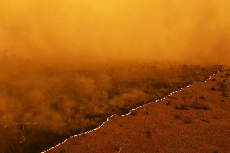 Como os incêndios serviram de estímulo para uma evolução na preservação do pantanal