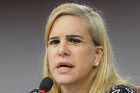 A presidente da OAB-RJ Ana Tereza Basilio