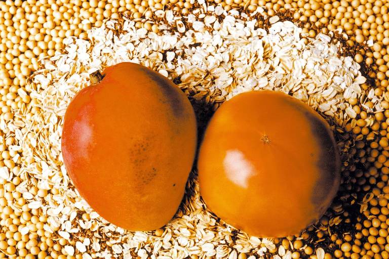 A imagem mostra duas frutas, uma manga e um tomate, dispostas sobre uma superfície de grãos de soja e aveia. A manga é de cor laranja-avermelhada e o tomate é de um tom laranja mais uniforme. O fundo é composto por grãos de soja e flocos de aveia, criando um contraste com as frutas.