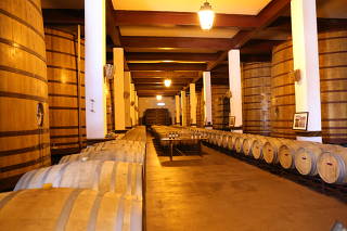 PORTUGAL-FAVAIOS-WINE INDUSTRY-U.S. TARIFFS