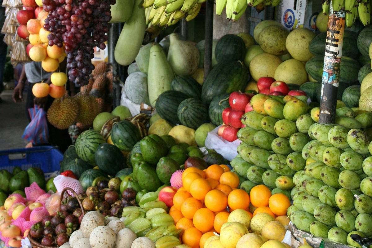 Pesquisa detalha teor nutricional de frutos do Cerrado; saiba quais são