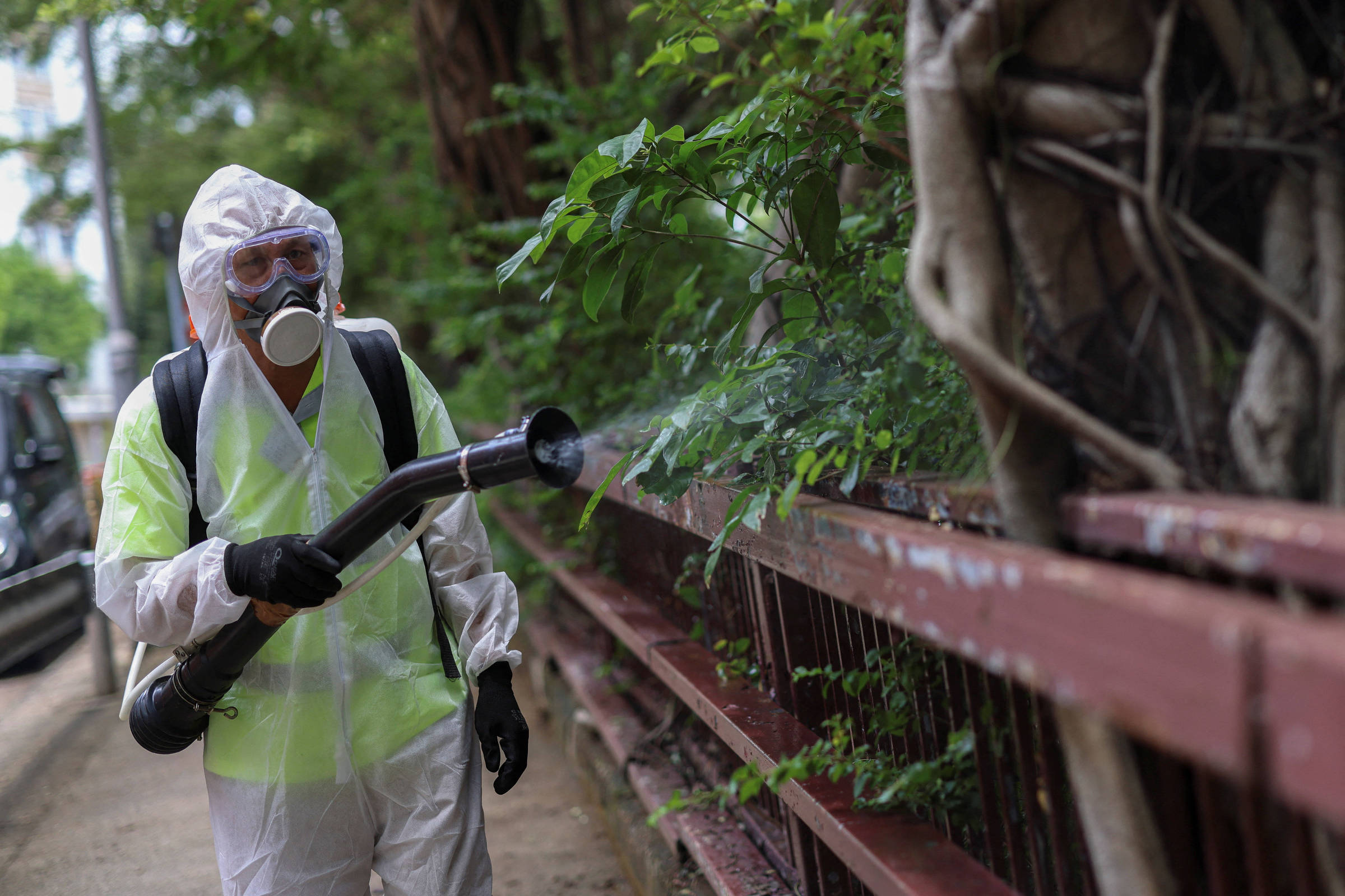 China tenta conter surto de chikungunya