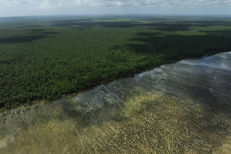 Exploração de petróleo na margem equatorial demanda mais estudos e salvaguardas, diz Academia Brasileira de Ciências