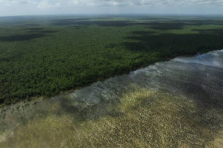 PETROLEO NA AMAZONIA
