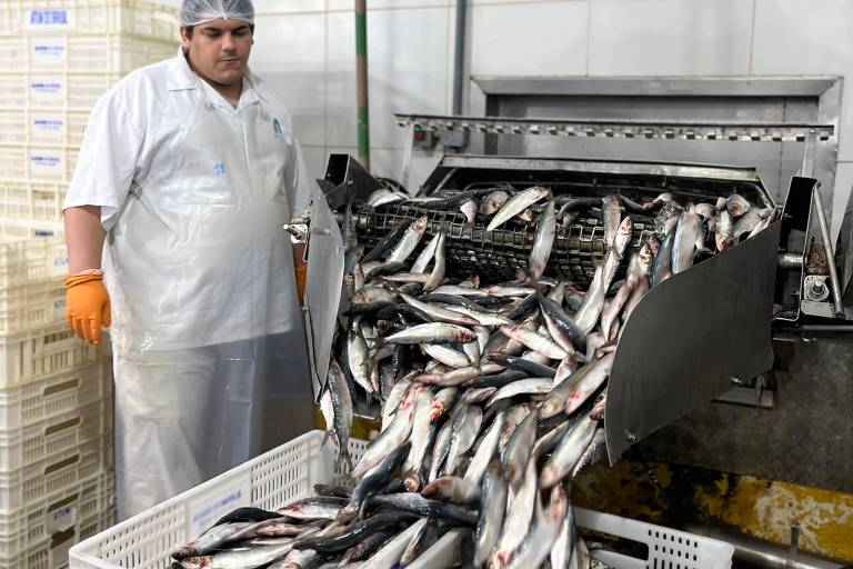 Como estão se virando 5 produtores afetados pelo tarifaço: 'Peço a Deus para nunca mais passar por isso'