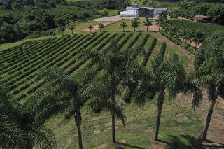 Vista de drone de fazenda cafeeira na serra da mantiqueira, em Socorro (SP)