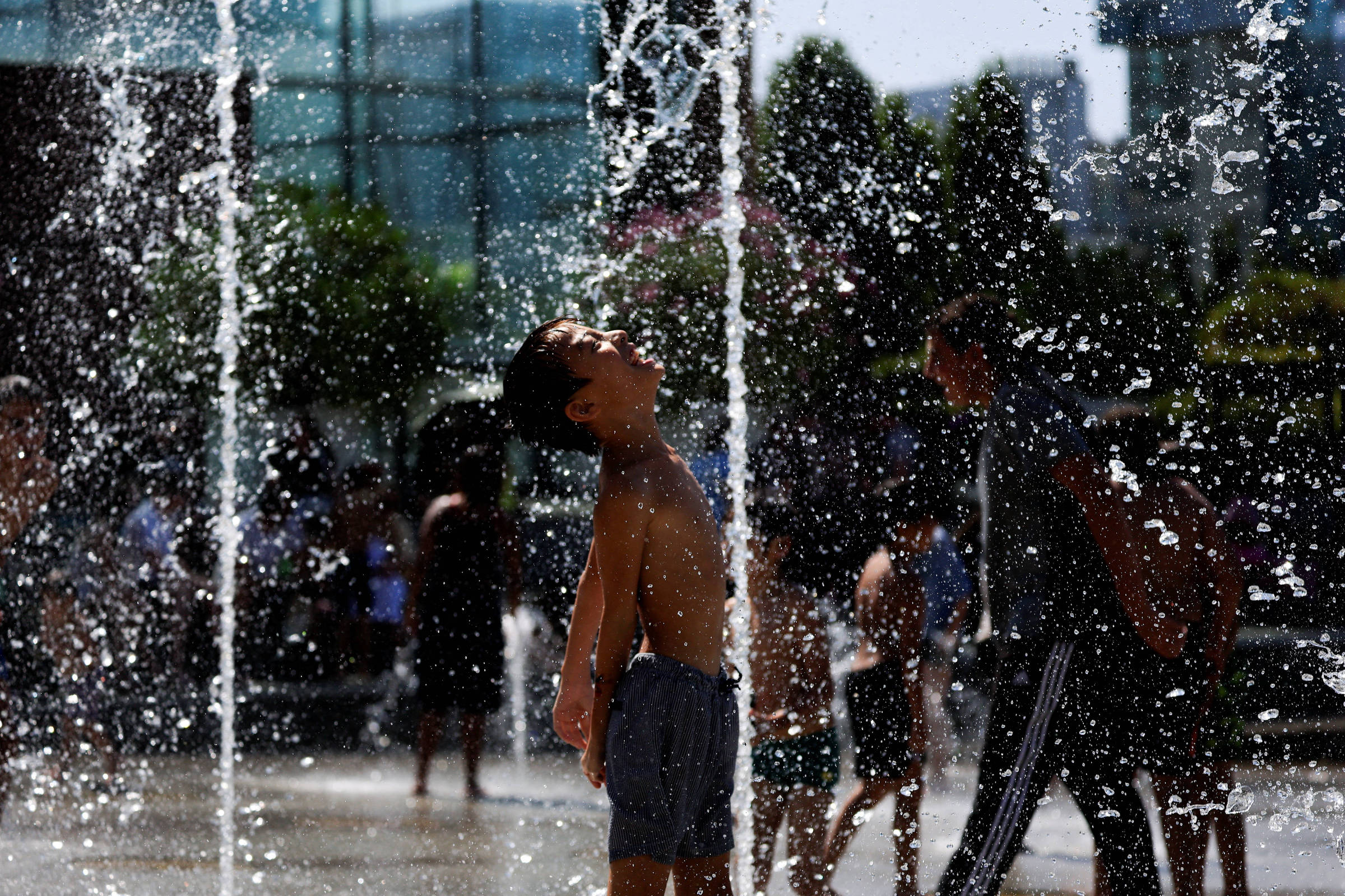 Com temperaturas altas, França enfrenta aumento de casos de dengue e chikungunya