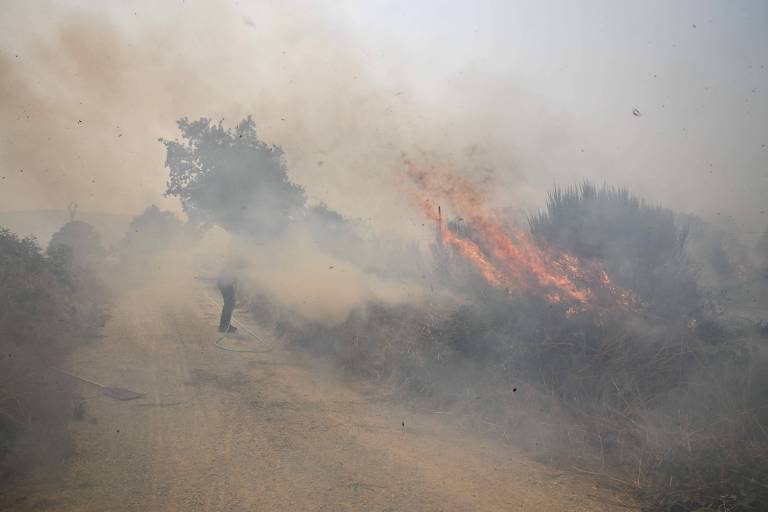 The image shows a rural area on fire, with thick smoke covering the scene. On the left, a human figure stands amid the smoke, apparently trying to control the fire. Flames are visible in a bush on the right, while the dirt road is partially visible in the background.