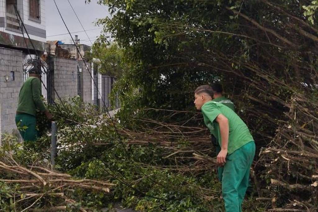 Vendaval interrompe travessia entre São Sebastião e Ilhabela e derruba árvores no litoral de SP