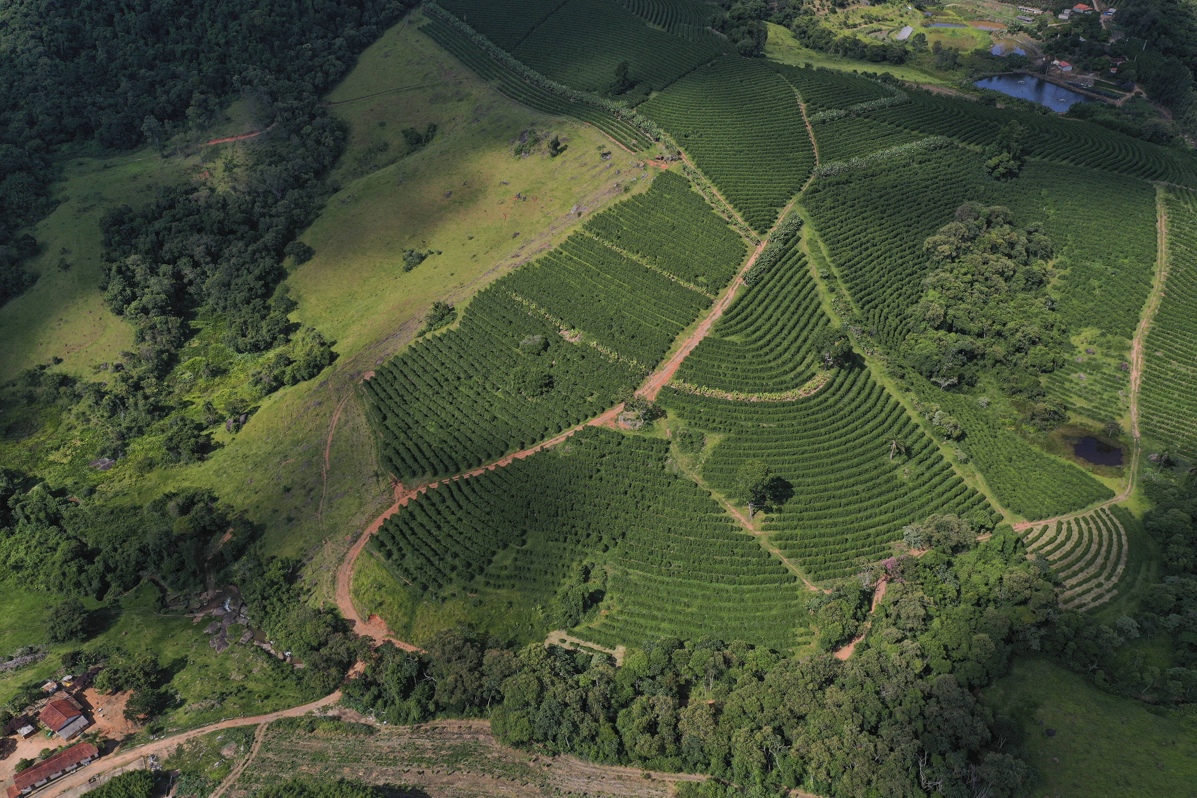 Valor da produção agropecuária será de US$ 1,48 trilhão em 2025