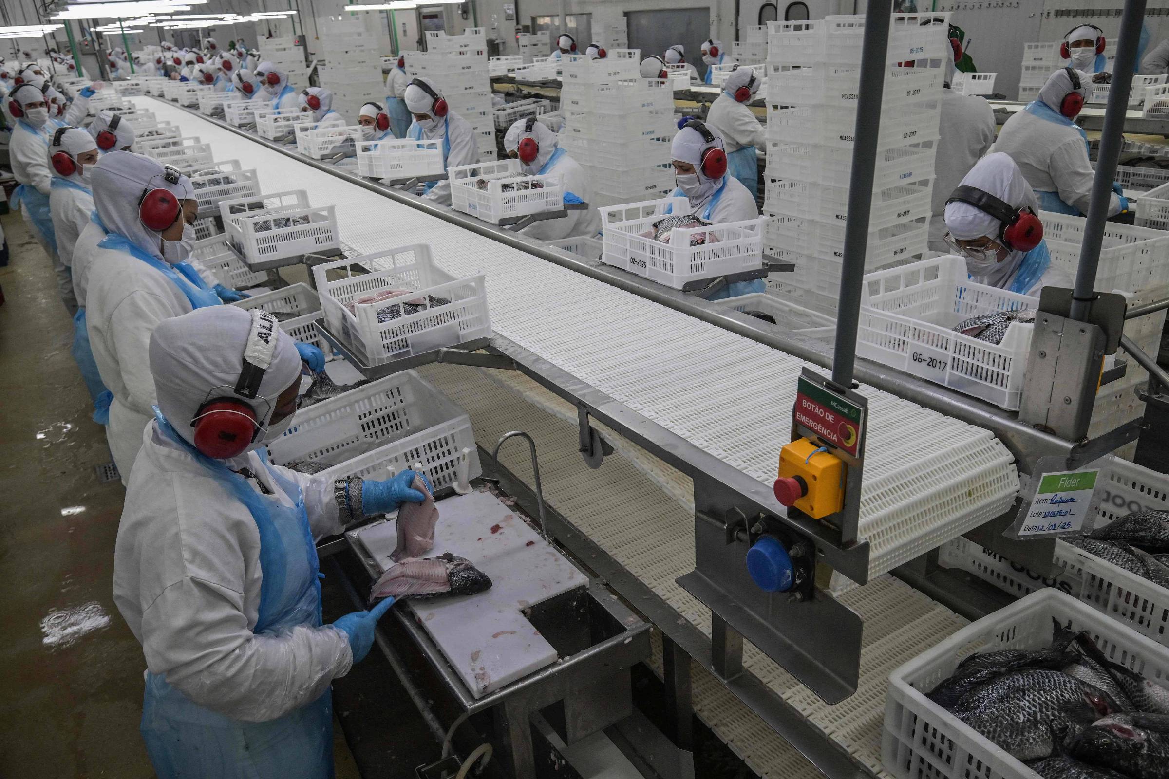 Indústria de alimentos lidera crédito para exportadores afetados pelo tarifaço