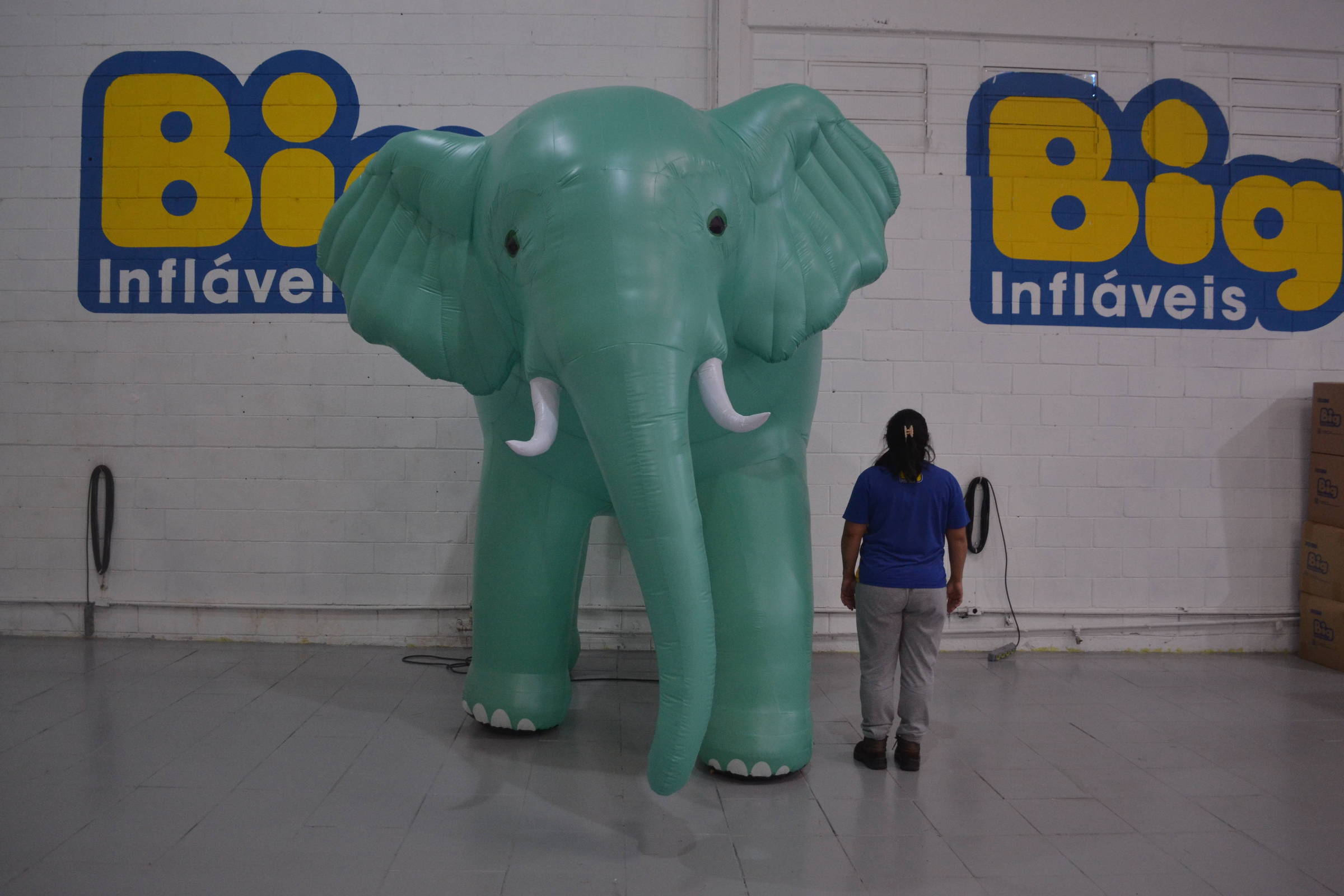 Protesto contra desigualdade tributária na Faria Lima terá elefante inflável de três metros