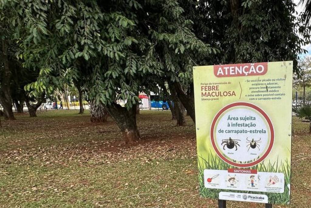 Criança morre por febre maculosa no interior de São Paulo