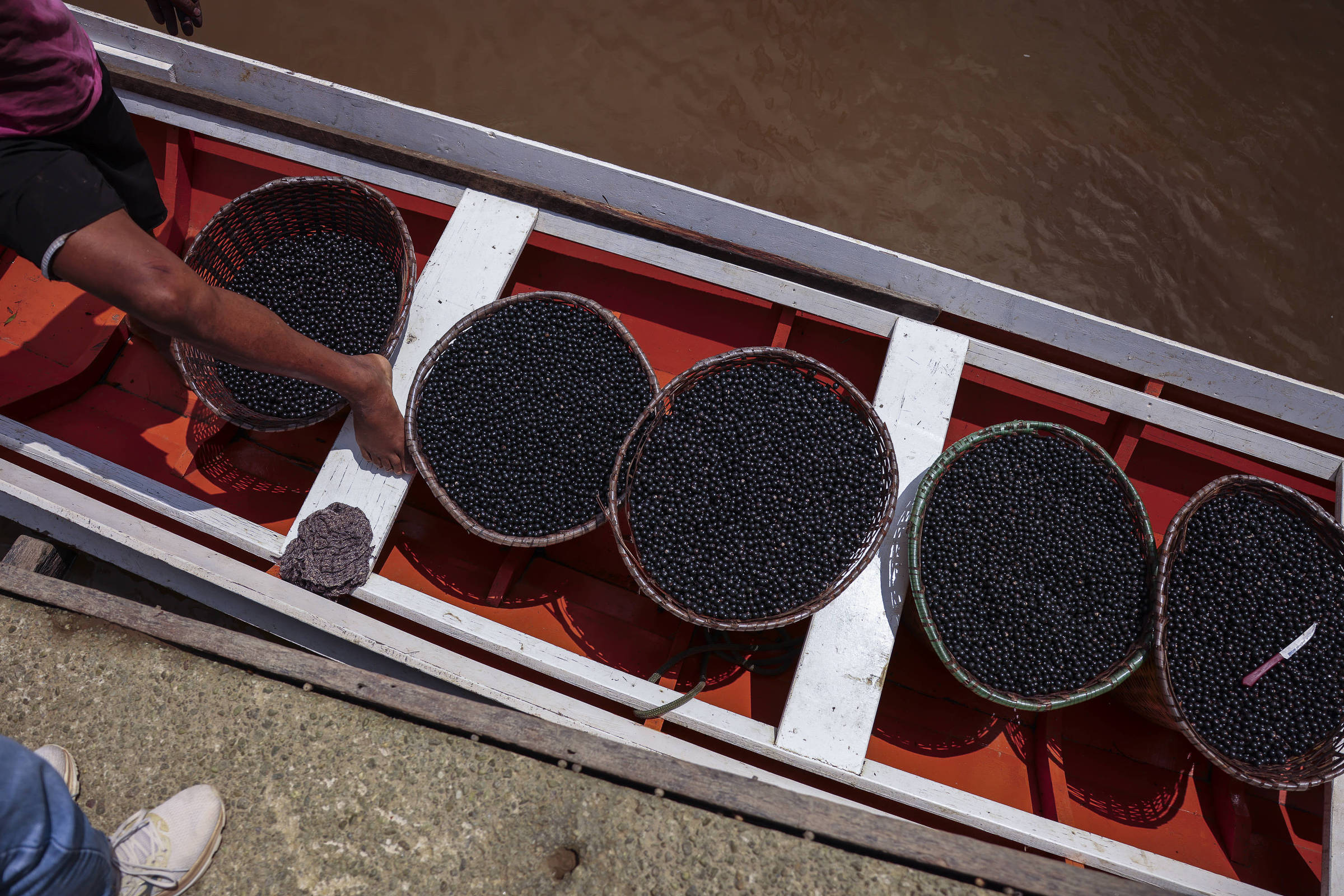 Réplica: O fetiche da bioeconomia