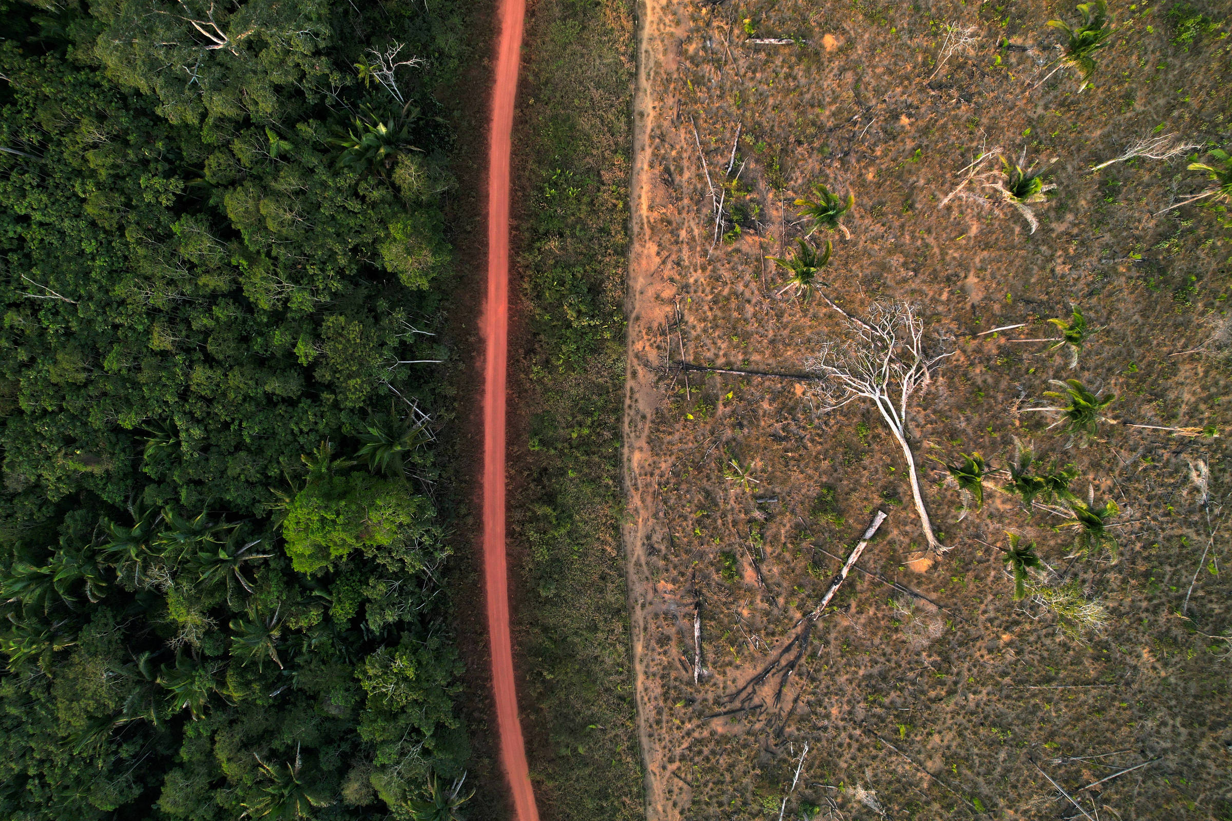 Pulitzer Center e Folha promovem debate sobre mercado de carbono nesta quinta (4); veja como participar