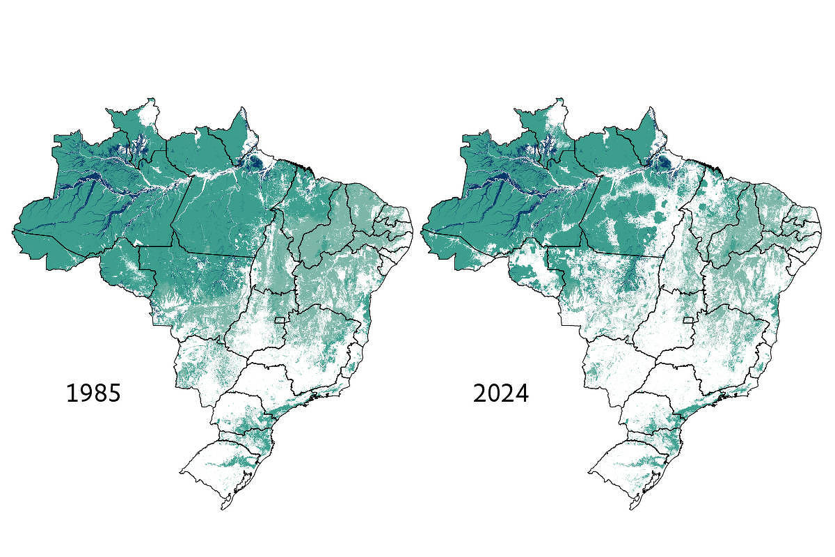 Veja 40 anos de desmatamento no Brasil em gráficos e mapas