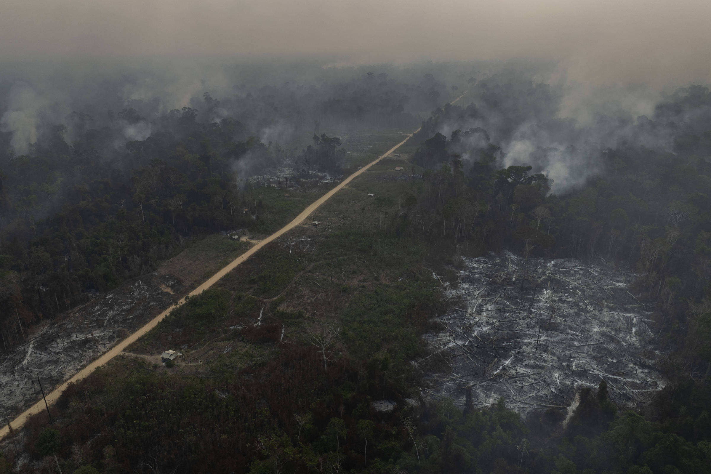 Incêndios florestais deterioram qualidade do ar a quilômetros de distância, alerta ONU