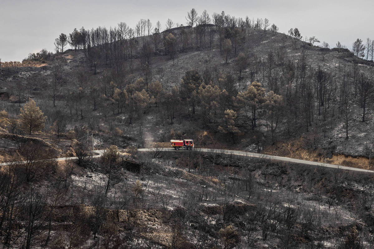 Como a Europa perdeu uma área do tamanho do Chipre devido a incêndios florestais